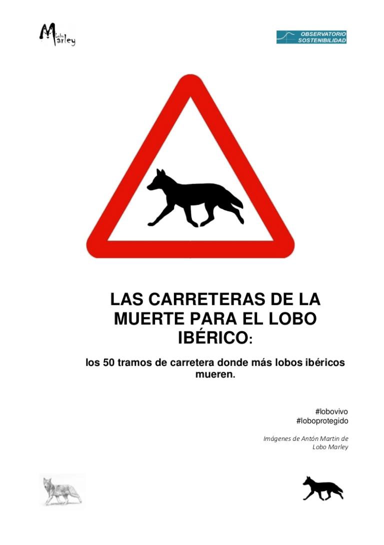 Las carreteras de la muerte para el lobo ibérico